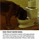 Image for article titled What On Earth? The Holidays Take On Toilet Humor